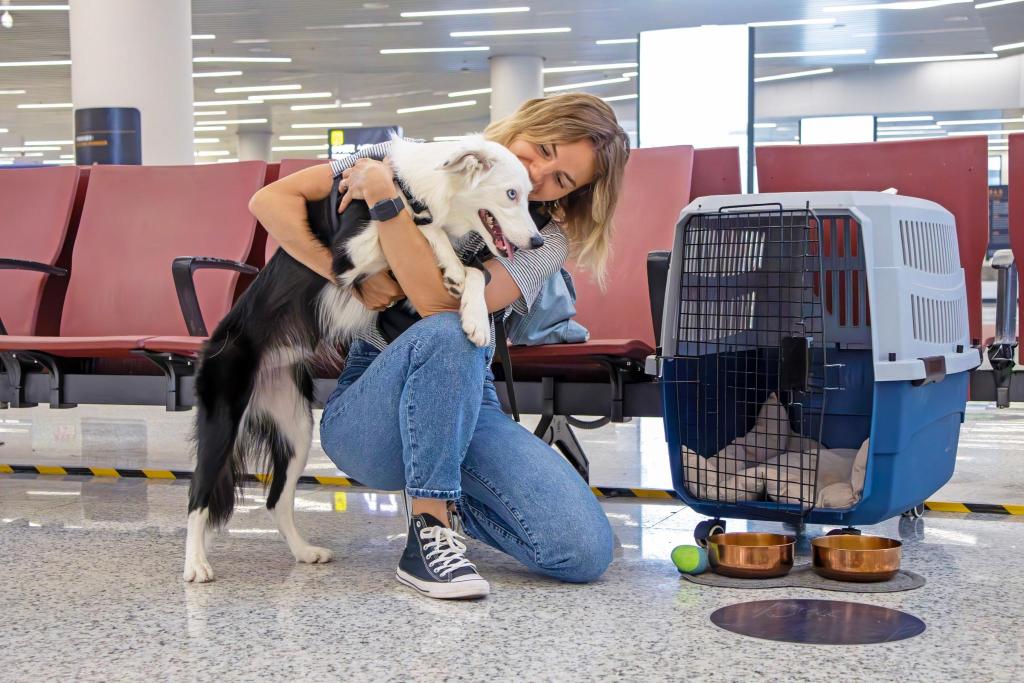 Planning Comfortable Pet Travel